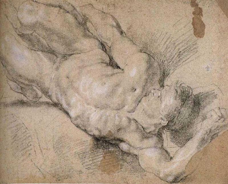 Peter Paul Rubens Nude